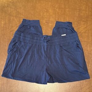 AnyBody Navy Cozy Knit Blue Women's Jogger Pant, Size XLP